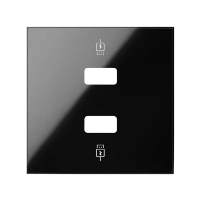 Накладка зарядного устройства USB A+A, черный глянец, S100
