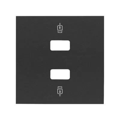 Накладка зарядного устройства USB A+A, черный матовый, S100