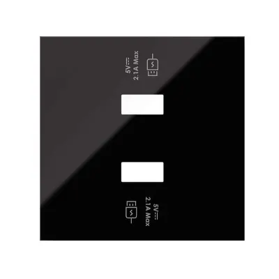 Накладка 2-х зарядных устройств USB A, черный глянец, S100