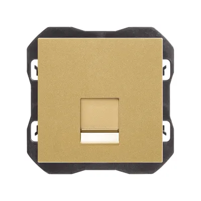 Накладка розетки 1хRJ45, 2М, без коннектора, S270, золото
