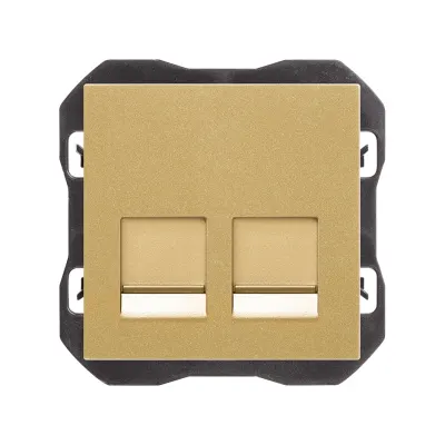 Накладка розетки 2хRJ45, 2М, без коннектора, S270, золото