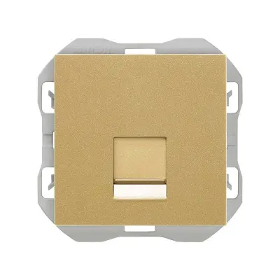 Механизм розетки 1хRJ45 кат.6, 2М, со шторкой, S270, золото