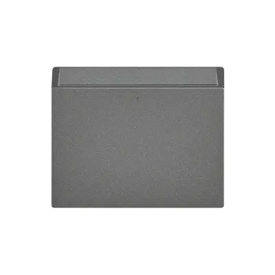 Механизм карточного выкл-ля, под карту 54мм, 2М, 2 микроперек-ля 10А/250В, клеммы Faston, S270, титан