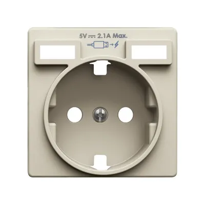 Накладка для розетки Schuko с з/у USB A+A, сл.кость, S82