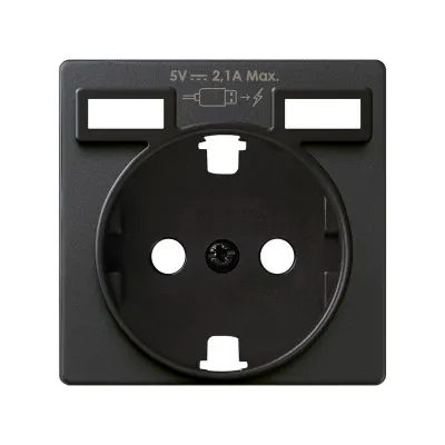 Накладка для розетки Schuko с з/у USB A+A, графит, S82