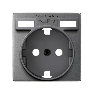 Накладка для розетки Schuko с з/у USB A+A, мат.титан, S82C