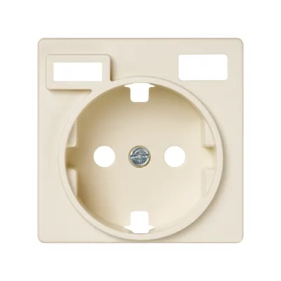 Накладка для розетки Schuko с з/у USB A+C, сл.кость, S82