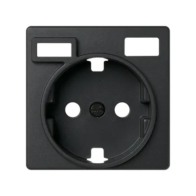Накладка для розетки Schuko с з/у USB A+C, графит, S82