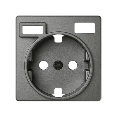 Накладка для розетки Schuko с з/у USB A+C, мат.титан, S82C