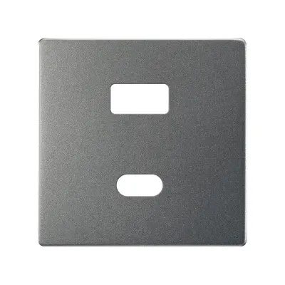 Накладка для заряд.устройства USB A+C, мат.титан, S82C
