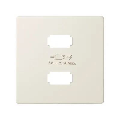 Накладка для заряд.устройства 2xUSB, сл.кость, S82