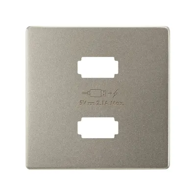 Накладка для заряд.устройства 2xUSB, мат.шампань, S82C